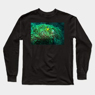 clown fish Long Sleeve T-Shirt